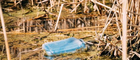 old-plastic-canister-floats-in-water-of-swamp-or-QZFL7BG.jpg